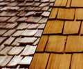 Cedar Roof Oiling
